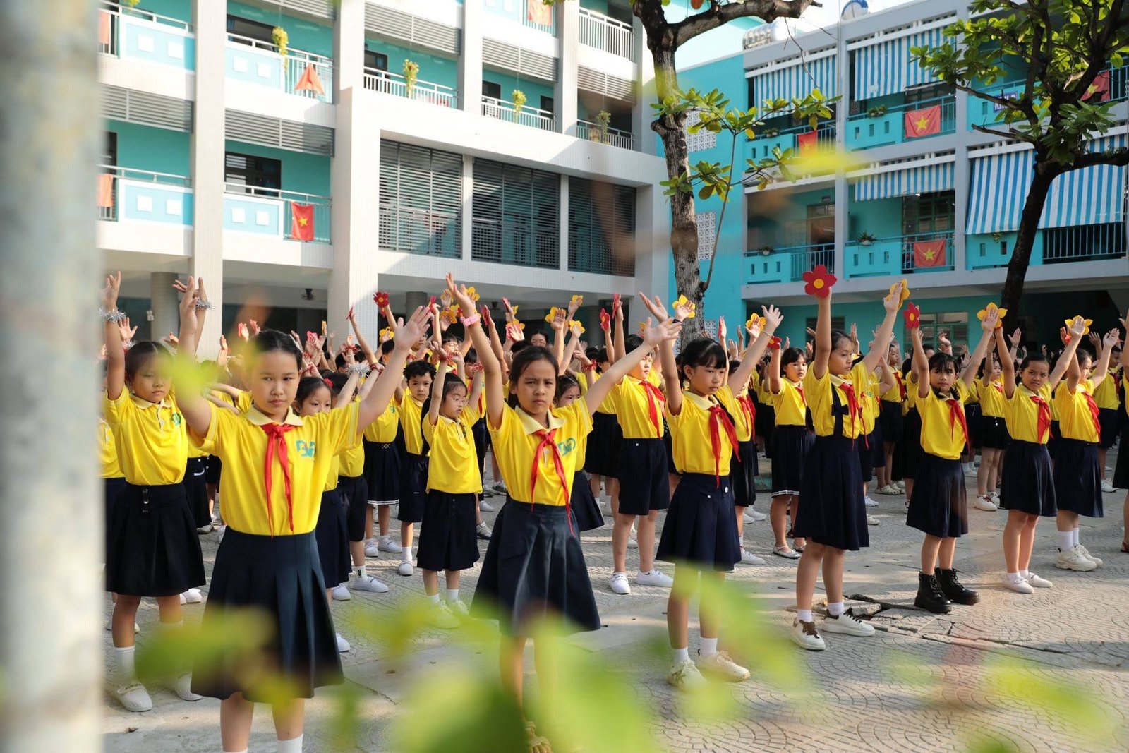Thư viện ảnh, video